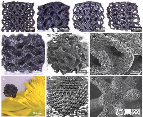 新工藝實(shí)現(xiàn)高分辨率、復(fù)雜石墨烯結(jié)構(gòu)的3D打印