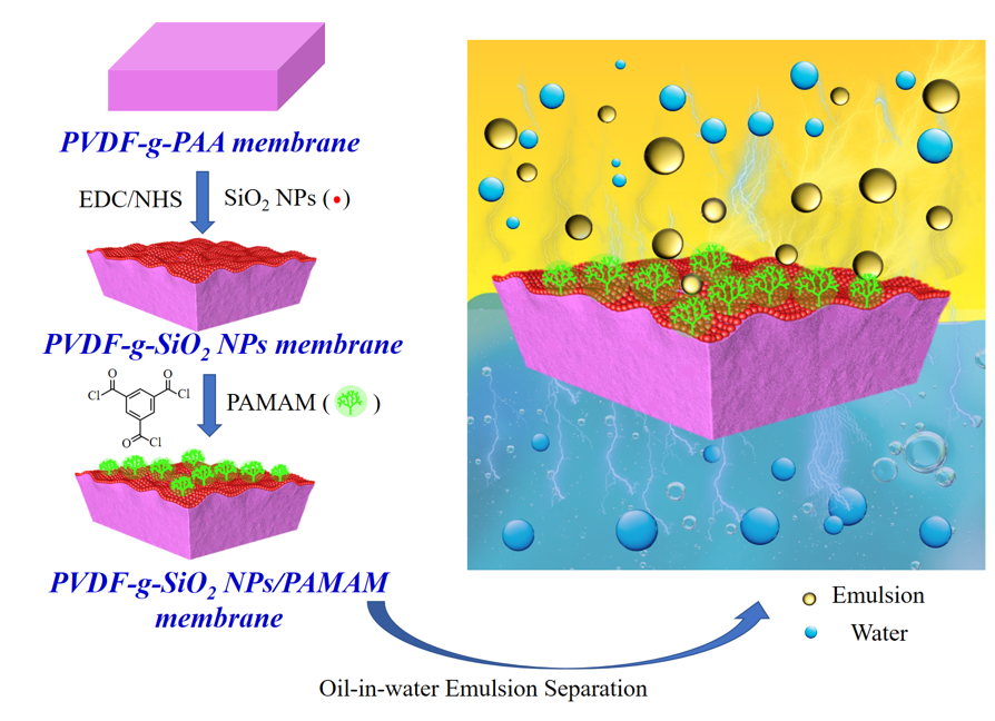 浙江大學黃小軍團隊在PVDF油水分離膜、梯度膜生物檢測傳感領域取得系列進展