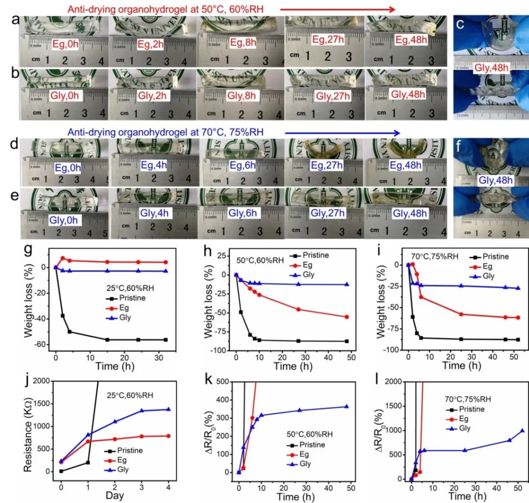 中山大學(xué)吳進《ACS AMI》：基于熱穩(wěn)定、自修復(fù)有機水凝膠的高靈敏、可拉伸溫度傳感器