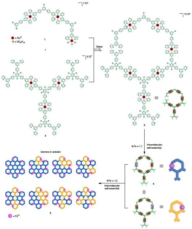 首次制備直徑為20 nm的六角形網格超分子