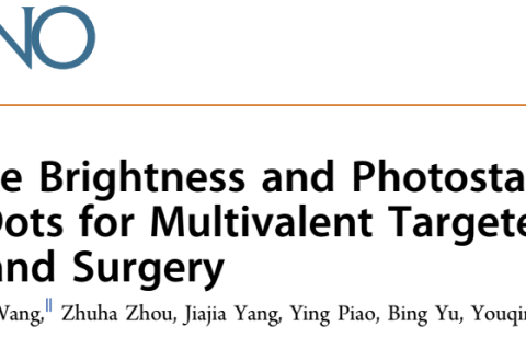 單分子有機(jī)熒光納米點(diǎn)在腫瘤成像與手術(shù)導(dǎo)航中的潛在應(yīng)用
