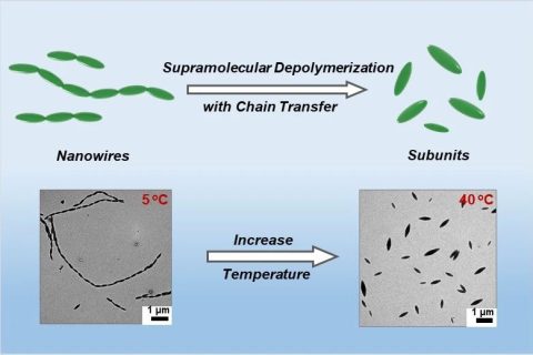 華東理工林嘉平教授團(tuán)隊(duì)在多級(jí)納米線的超分子解聚取得新進(jìn)展