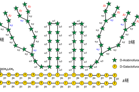 《Nature》譽為“糖之父”的Seeberger打破世界紀錄，史上最長人工合成多糖！