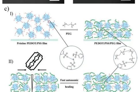 《AFM》：加點PEG，導(dǎo)電高分子實現(xiàn)自修復(fù)！