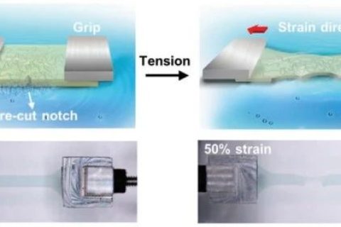 史上最柔！新型抗撕裂、自愈合柔性半導體！