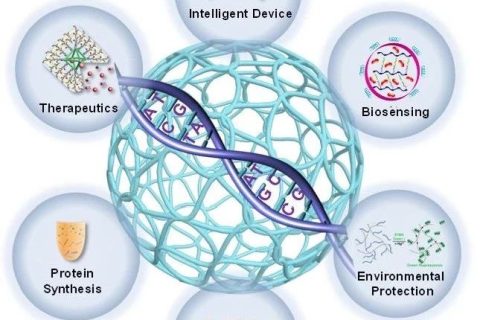 天津大學(xué)仰大勇課題組發(fā)表DNA高分子水凝膠研究系統(tǒng)評述
