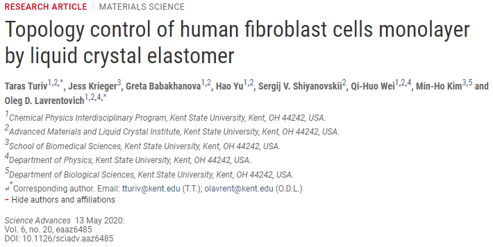《Science》子刊：液晶彈性體控制單層成纖維細(xì)胞的拓?fù)浣Y(jié)構(gòu)