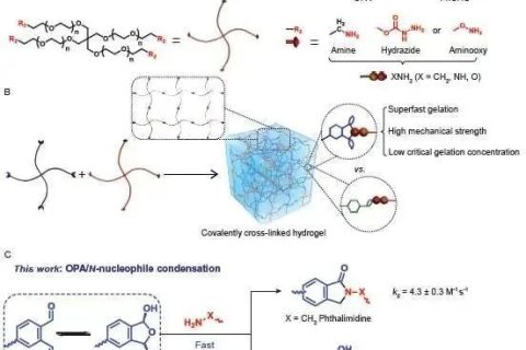 陳學(xué)思院士團(tuán)隊(duì)：固含低至1%！超快制備高強(qiáng)度可降解水凝膠