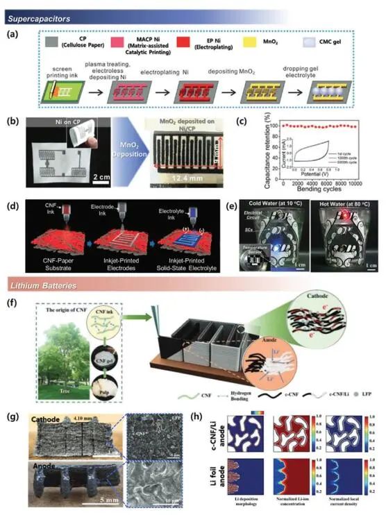 《先進材料》綜述：為什么要用纖維素？纖維素基電化學(xué)儲能器件的優(yōu)勢何在？