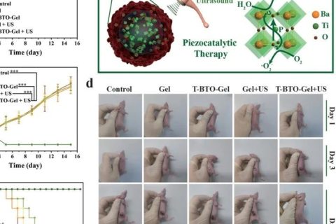 施劍林院士、陳雨研究員《先進材料》：超聲引發(fā)鈦酸鋇壓電性用于無創(chuàng)壓電催化腫瘤療法