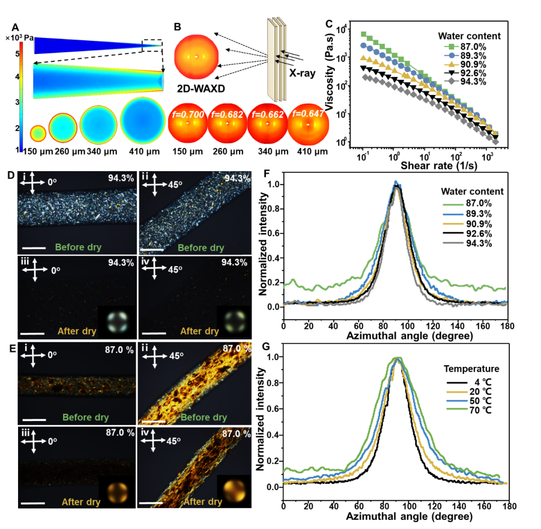 清華大學(xué)張瑩瑩課題組《PNAS》：3D打印制備超可拉伸離子神經(jīng)電極