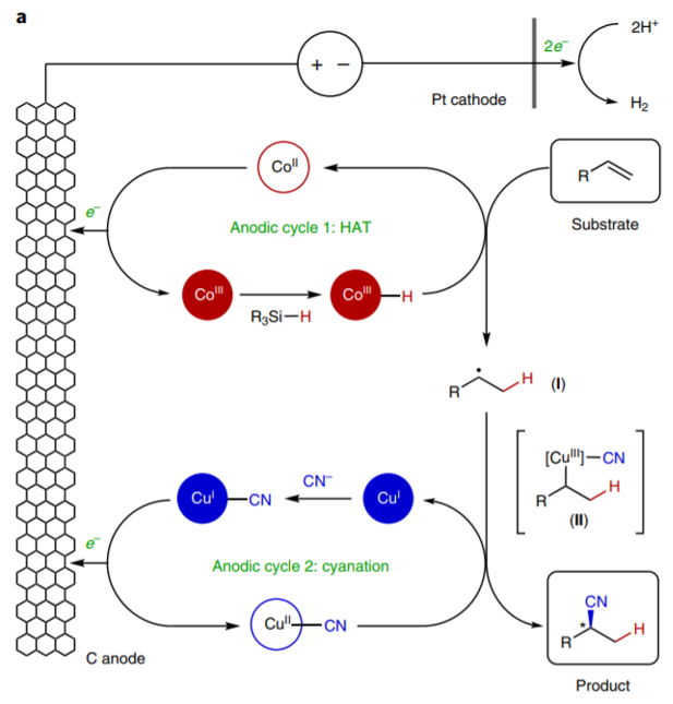美國康奈爾大學(xué)林松團(tuán)隊(duì)《自然·化學(xué)》:電驅(qū)動雙金屬催化共軛烯烴氫氰化反應(yīng)