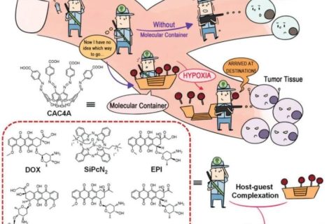 史林啟/劉陽/郭東升《先進材料》：以低氧敏感超分子作船，載藥劃向腫瘤