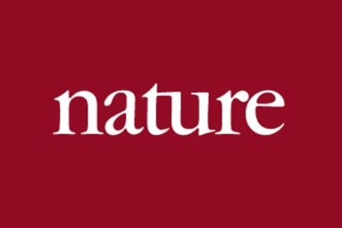 《Nature》子刊：科學家首次直接觀察到氫質子沿著液-固界面移動