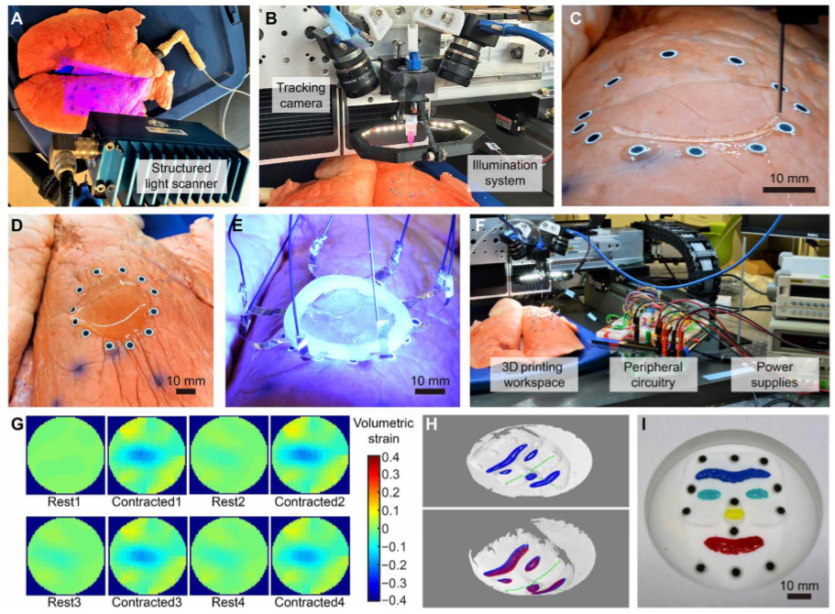 《Science》子刊：在活體器官上原位3D打印可變形水凝膠傳感器！