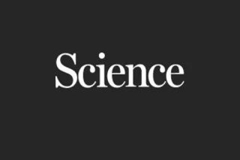 蛋白質合成革命！MIT《Science》：自動流動化學法合成多種蛋白質