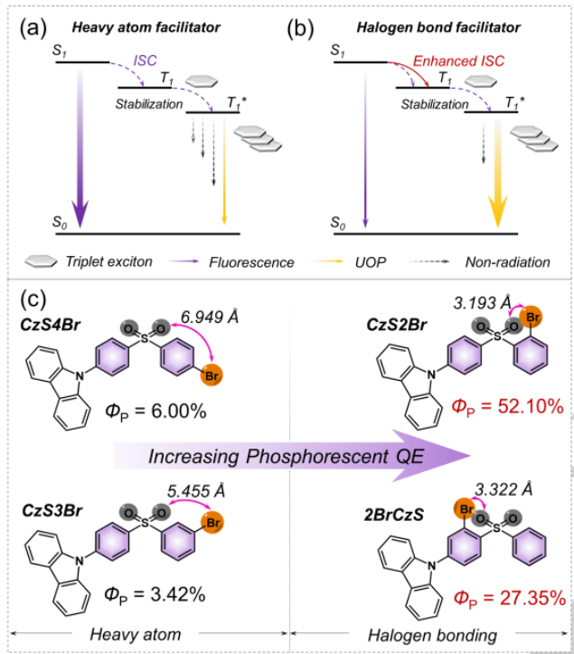 中山大學(xué)《Angew》：量子效率52%！超長(zhǎng)有機(jī)磷光材料量子效率再獲突破