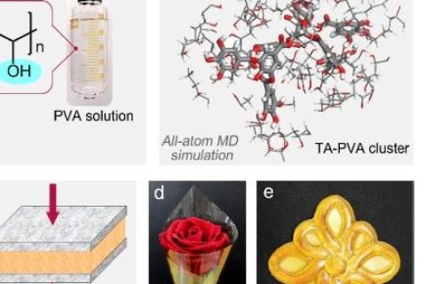 超越天然蛛絲！超高強度、極高韌性的超分子聚合物材料