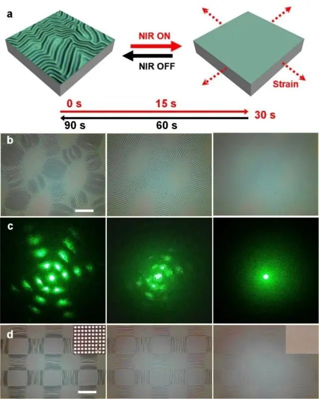 上海交大姜學松、張文明合作：揭示可編程二維表面褶皺圖案調(diào)控力學機制