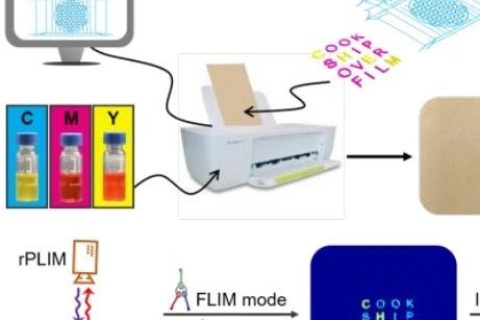 復(fù)旦大學(xué)王旭東《JACS》：三級(jí)加密！新一代發(fā)光防偽技術(shù)！