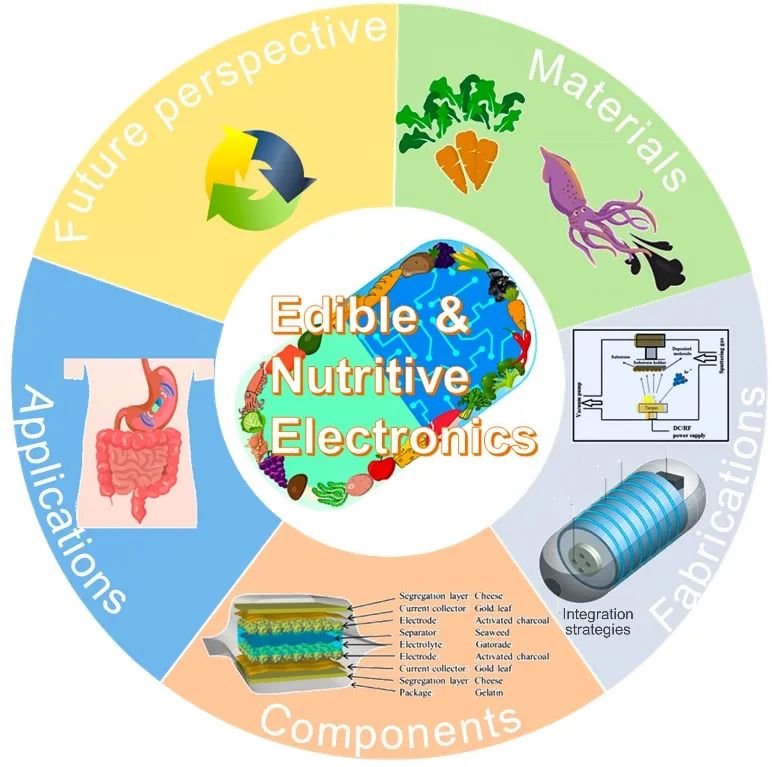 五邑大學(xué)巫瑩柱副教授與亞利桑那州立大學(xué)姜漢卿教授綜述：可食用、有營養(yǎng)電子器件：材料、制備方法、器件和應(yīng)用
