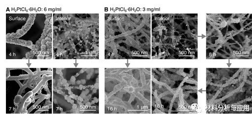 北京科技大學(xué)等《ACS Appl. Electron. Mater.》：使用碳納米管支架開發(fā)彈性，堅(jiān)固和高度多孔的金屬泡沫