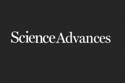 《Science Advances》：仿松針多級非對稱結構超疏水表面多尺度液滴定向輸運