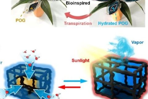 寧波材料所陳濤團隊《Angew》：受鐵蘭啟發(fā)的仿生有機凝膠進行大氣水分收集！