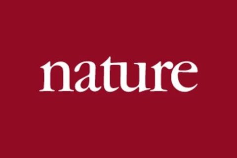 日本在這一領域又取得領先！《Nature》：超導二極管