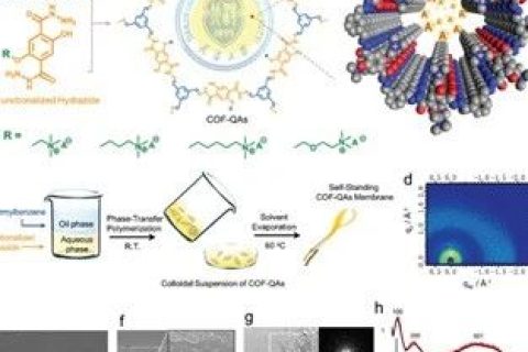具有最高氫氧化物電導(dǎo)率的COFs膜，實(shí)現(xiàn)超快陰離子傳輸