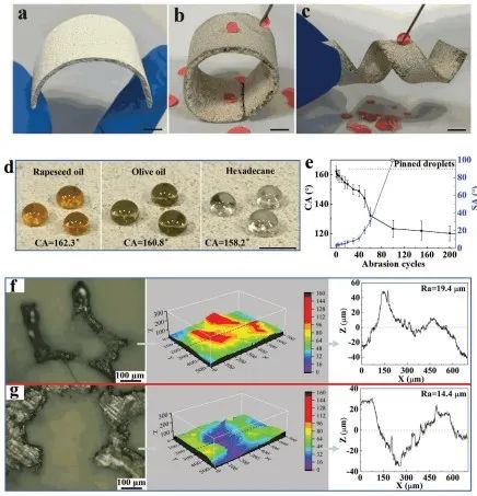 清華大學鄭泉水院士團隊《AFM》：耐磨損、耐沖擊、自清潔的超疏水/超疏油微納復合材料