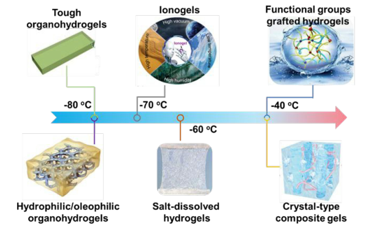 ?如何讓水凝膠不畏嚴(yán)寒？《Mater. Horiz.》綜述：在寒冷環(huán)境中保持軟濕材料活性的仿生防凍聚合物水凝膠