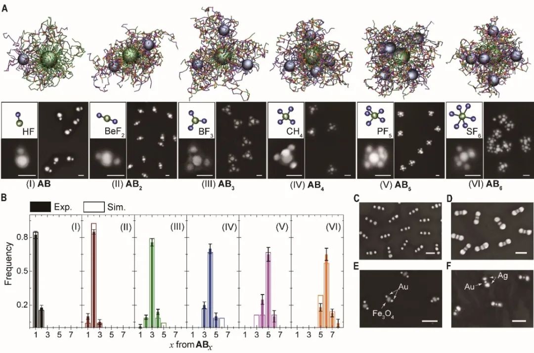 復旦大學高分子系聶志鴻《Science》：在納米“人造分子”制備領域取得重大突破