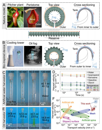 江雷院士、董智超《PNAS》：仿豬籠草結(jié)構(gòu)表面可在潮濕環(huán)境中連續(xù)收集和輸送水