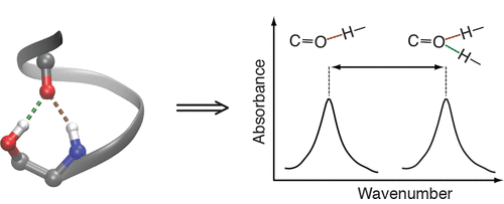 《JACS》： 多重氫鍵的定量分析！