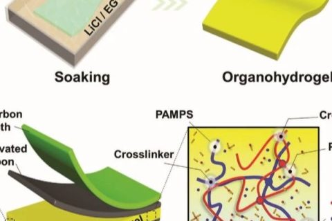 電子設(shè)備怕凍又怕燙怎么辦？中南大學(xué)《AFM》：長(zhǎng)期抗凍抗干的柔性超級(jí)電容器！