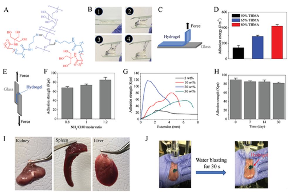 沒有化學反應(yīng)也能粘合！《AM》：具有“分擔負荷”作用的粘性水凝膠，可作為組織繃帶用于藥物和細胞的輸送。