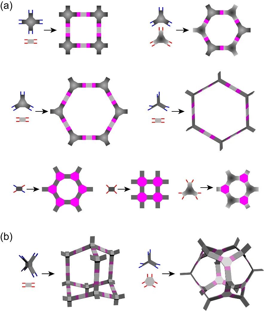 方磊《Chem》綜述：多孔網絡梯狀聚合物