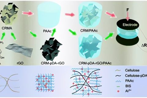 木質(zhì)纖維素/石墨烯氣凝膠調(diào)節(jié)動(dòng)態(tài)壓阻響應(yīng)的軟水凝膠觸覺傳感器